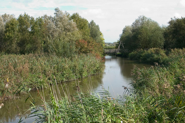 Marais Audomarois
