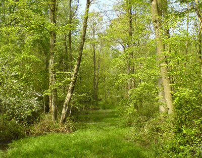 Sentier de Mémoire Bois des 8 Rues